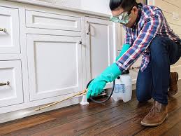 Real Estate Pest Inspections in Fort Walton Beach, FL